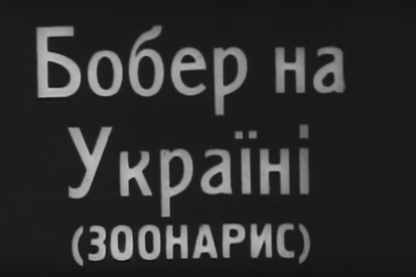 БПЛА «Бобер»: аеродинамічна схема «качка» та далекі ударні маршрути